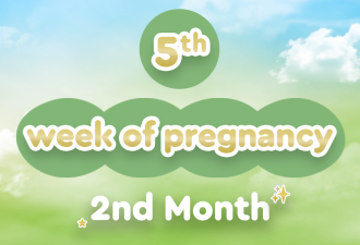 5th-week