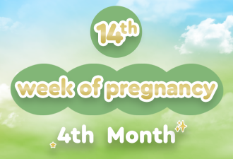14th week