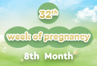 32nd week