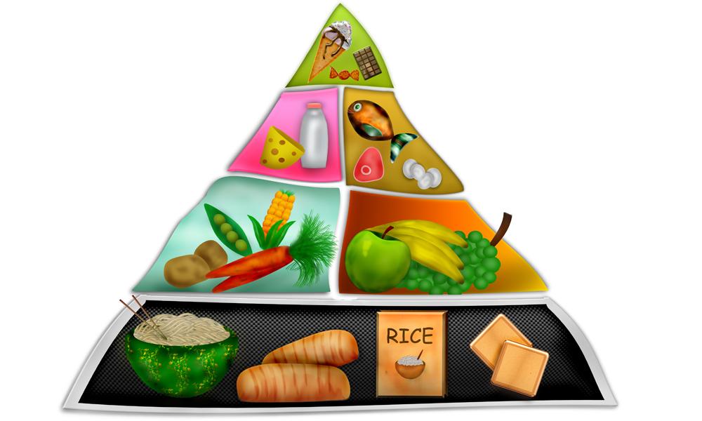 Start its life providing the foundation of proper nutrition