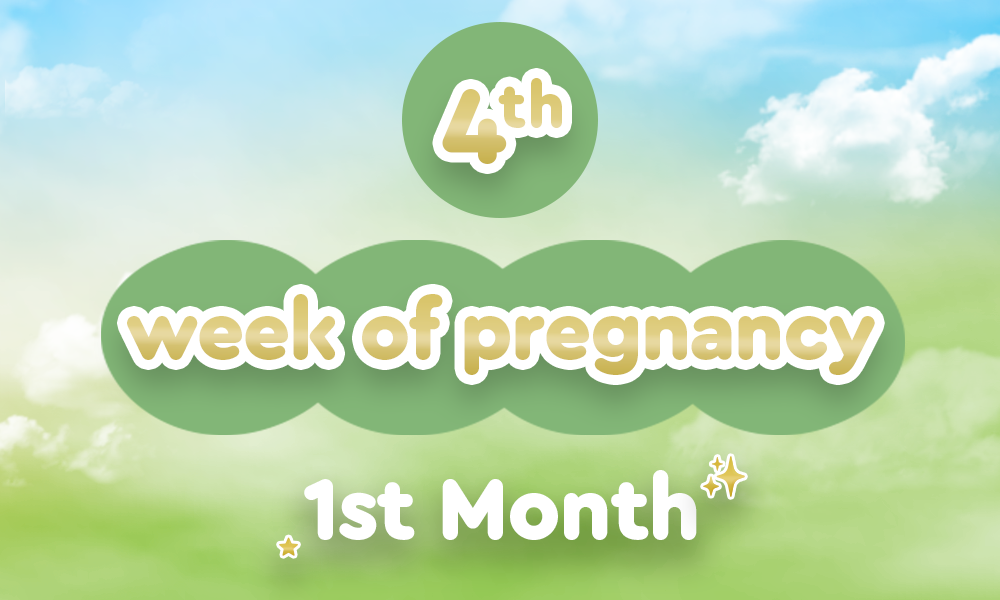 4th-week