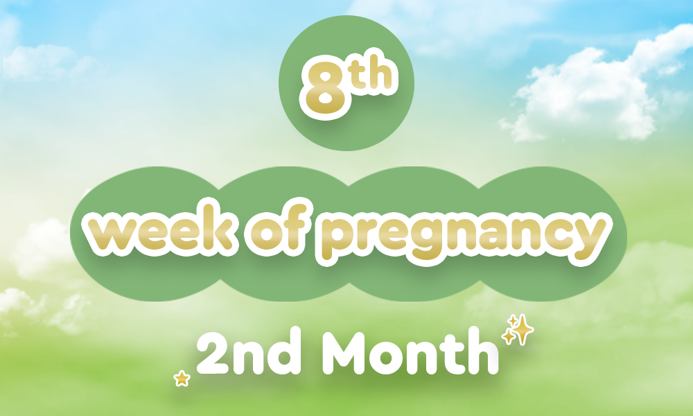 8th-week