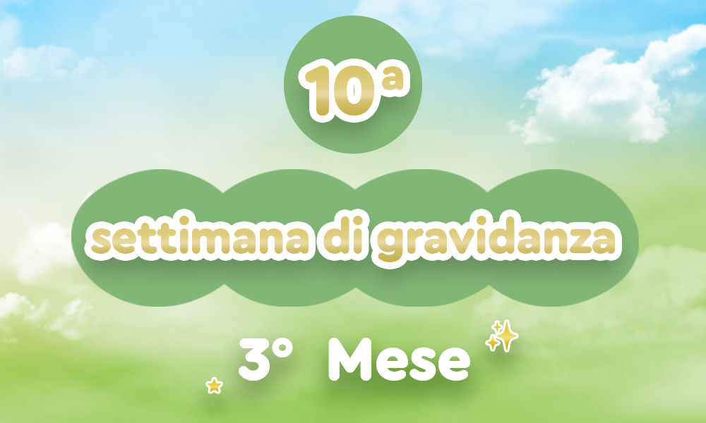 10h_evdomada