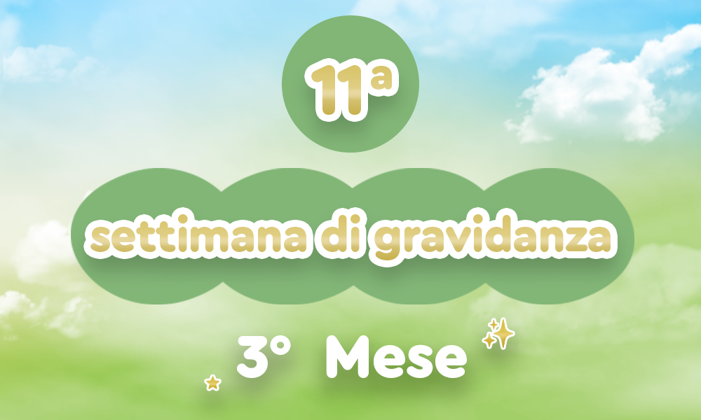 11h_evdomada