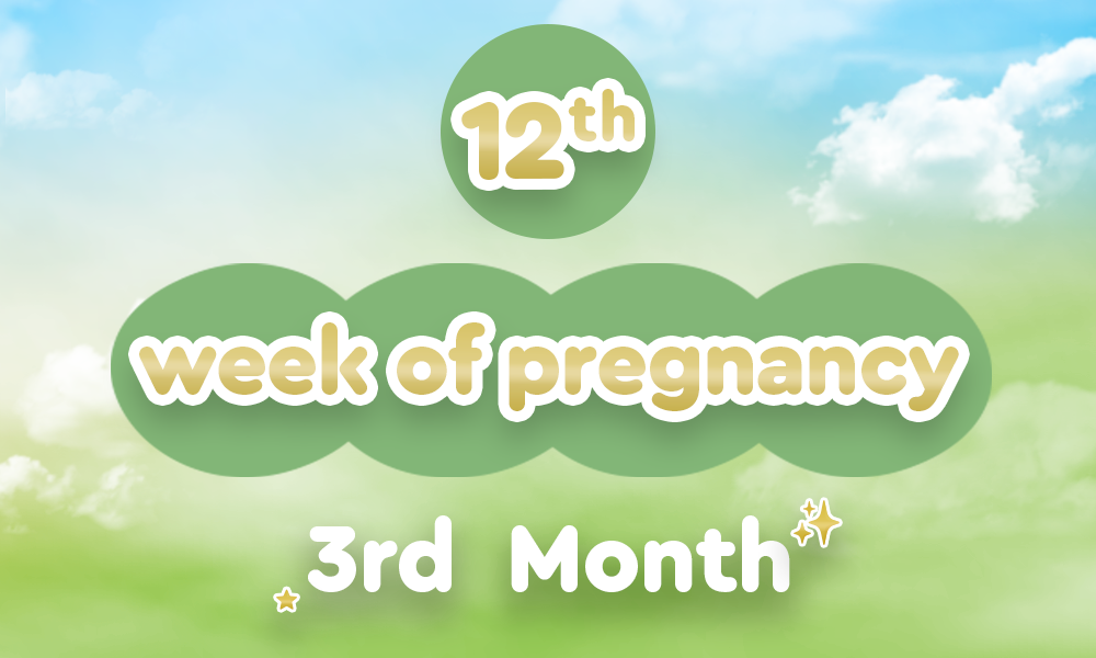 12th-week